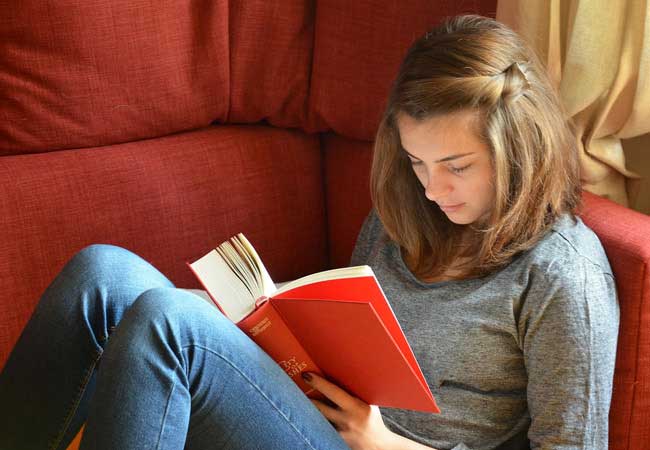 ddos压力测试网页端